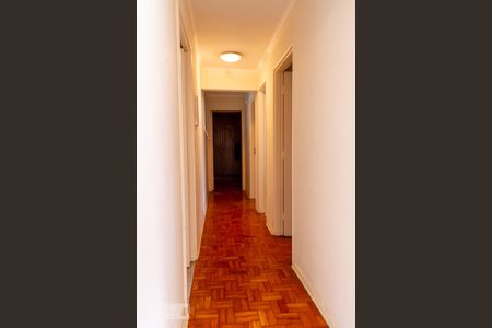 Corredor de apartamento para alugar com 3 quartos, 97m² em Perdizes, São Paulo