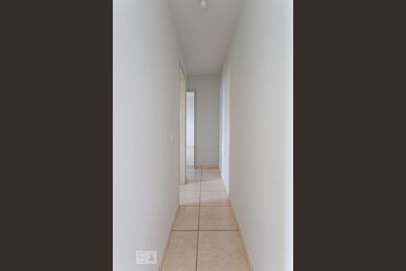 Corredor de apartamento para alugar com 2 quartos, 46m² em Jardim Márcia, Campinas