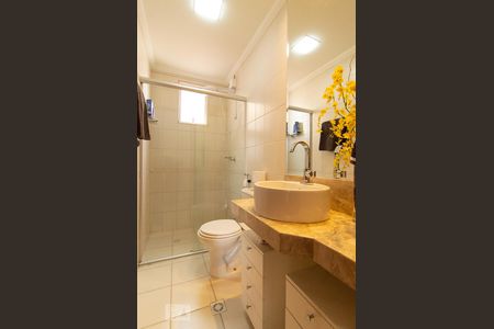 Banheiro de apartamento para alugar com 3 quartos, 80m² em Castelo, Belo Horizonte
