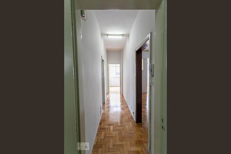 Corredor de apartamento para alugar com 3 quartos, 103m² em Centro, Belo Horizonte