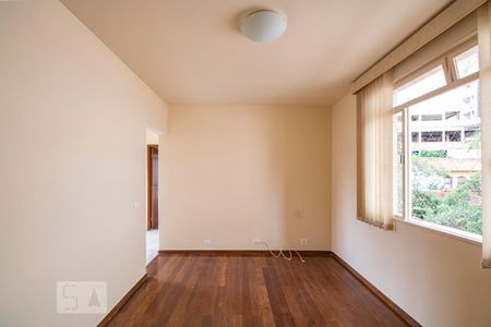 Sala de apartamento à venda com 3 quartos, 95m² em Santo Antônio, Belo Horizonte