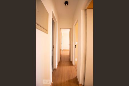 corredor de apartamento para alugar com 3 quartos, 73m² em Vila Marieta, Campinas