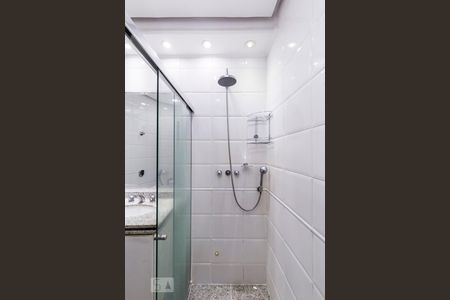 Banheiro de apartamento para alugar com 2 quartos, 80m² em Flamengo, Rio de Janeiro