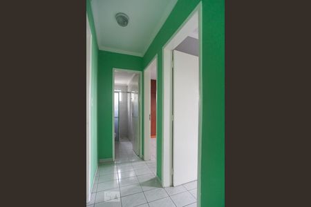 Corredor de apartamento para alugar com 2 quartos, 55m² em Jardim dos Oliveiras, Campinas