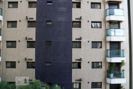 Vista de kitnet/studio para alugar com 1 quarto, 25m² em Vila Clementino, São Paulo