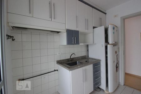 Cozinha de apartamento para alugar com 2 quartos, 53m² em Jardim Íris, São Paulo