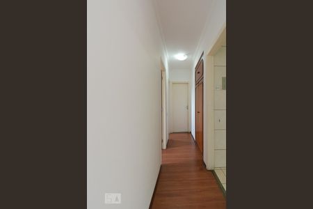 Corredorr de apartamento para alugar com 2 quartos, 70m² em Vila Constança, São Paulo