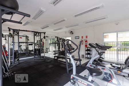 Área comum - Academia de apartamento à venda com 2 quartos, 50m² em Vila Satúrnia, Campinas