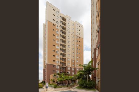 Fachada do bloco de apartamento à venda com 2 quartos, 50m² em Vila Satúrnia, Campinas