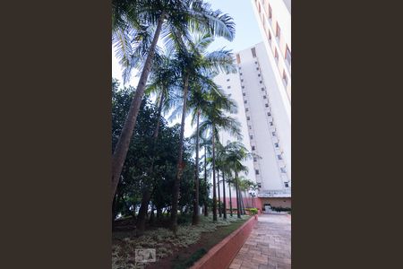 Área Comum de apartamento para alugar com 2 quartos, 85m² em Vila Romana, São Paulo