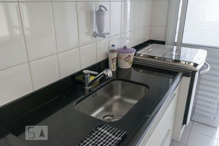 Cozinha (Pia) de apartamento para alugar com 2 quartos, 64m² em Ipiranga, São Paulo