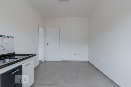 Cozinha de apartamento para alugar com 1 quarto, 30m² em Quinta da Paineira, São Paulo