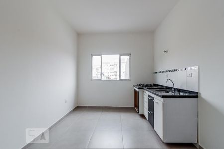 Cozinha de apartamento para alugar com 1 quarto, 30m² em Quinta da Paineira, São Paulo