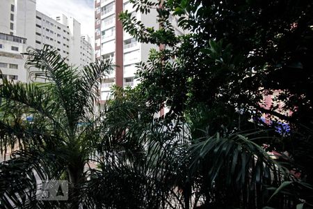 Vista de apartamento para alugar com 1 quarto, 55m² em Bela Vista, São Paulo