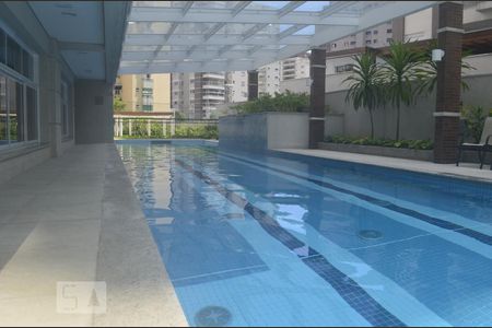 Área comum - Piscina de apartamento para alugar com 1 quarto, 33m² em Vila Suzana, São Paulo