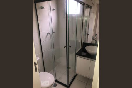 Banheiro de apartamento para alugar com 2 quartos, 47m² em Jardim Monte Alegre, Taboão da Serra