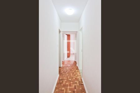 Corredor de apartamento para alugar com 3 quartos, 93m² em Vila Ester (zona Norte), São Paulo