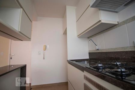 cozinha de apartamento para alugar com 2 quartos, 53m² em Jardim do Trevo, Campinas