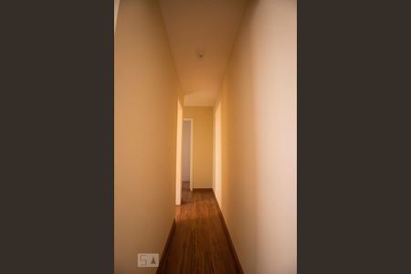 corredor de apartamento para alugar com 2 quartos, 53m² em Jardim do Trevo, Campinas