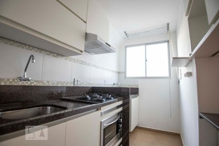 cozinha de apartamento para alugar com 2 quartos, 53m² em Jardim do Trevo, Campinas