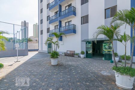 Área de Circulação de apartamento para alugar com 3 quartos, 80m² em Vila Príncipe de Gales, Santo André