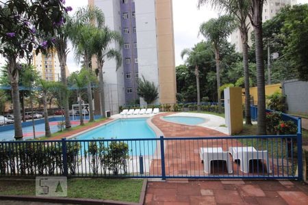 Área comum - Piscina de apartamento para alugar com 2 quartos, 43m² em Vila Nova Cachoeirinha, São Paulo