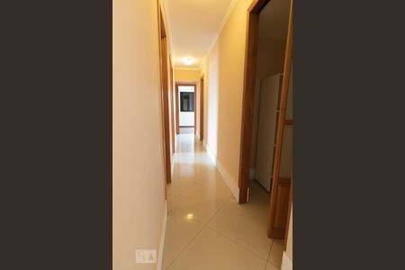 Corredor de apartamento para alugar com 3 quartos, 104m² em Vila Gilda, Santo André