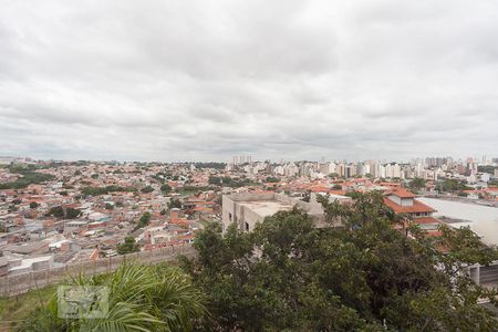 Vista da varanda de apartamento para alugar com 3 quartos, 100m² em Jardim Paranapanema, Campinas