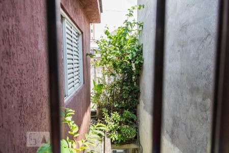 Vista Quarto de casa para alugar com 1 quarto, 70m² em Vila Primavera, São Paulo