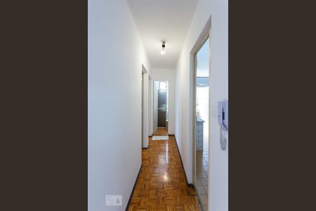 Corredor de apartamento para alugar com 2 quartos, 65m² em Jardim Novo Campos Eliseos, Campinas