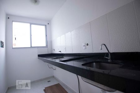 cozinha de apartamento para alugar com 2 quartos, 47m² em Loteamento Parque São Martinho, Campinas