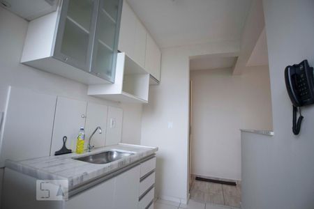 cozinha de apartamento para alugar com 2 quartos, 45m² em Vila Carminha, Campinas