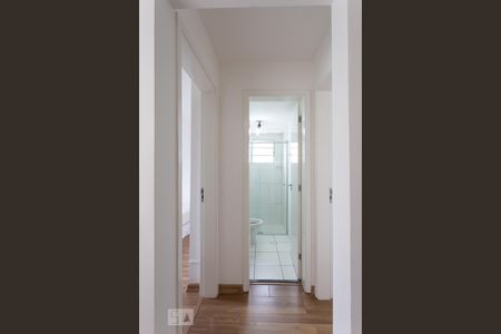 Corredor de apartamento para alugar com 2 quartos, 43m² em Jardim Nova Europa, Campinas