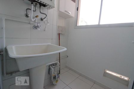 Área de Serviço de apartamento para alugar com 3 quartos, 63m² em Jardim Iris, São Paulo