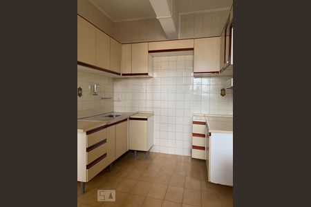 Cozinha de apartamento para alugar com 1 quarto, 46m² em Botafogo, Campinas