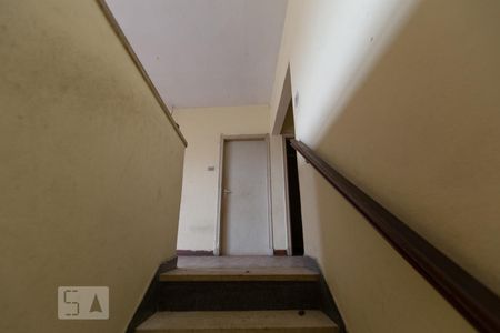 Escada de entrada de casa para alugar com 5 quartos, 35m² em Vila Bela, São Paulo