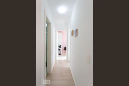 Corredor de apartamento para alugar com 2 quartos, 55m² em Vila Industrial (campinas), Campinas