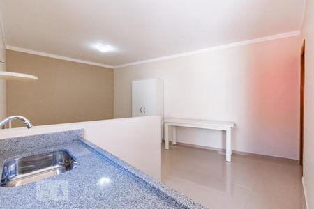 Entrada Cozinha e Quarto  de kitnet/studio para alugar com 1 quarto, 28m² em Jardim Brasil, Campinas