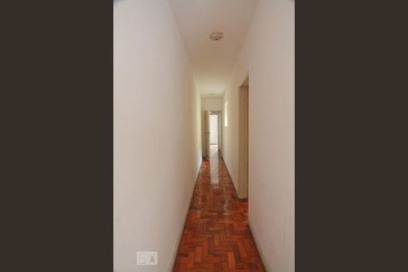 Corredor de apartamento para alugar com 1 quarto, 75m² em Jardim São Paulo(zona Norte), São Paulo