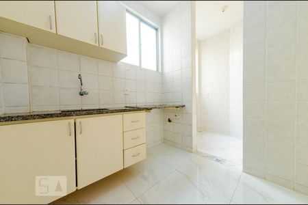 Cozinha de apartamento para alugar com 2 quartos, 55m² em Nova Suíça, Belo Horizonte