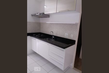 Cozinha de apartamento para alugar com 2 quartos, 49m² em Parque Jambeiro, Campinas