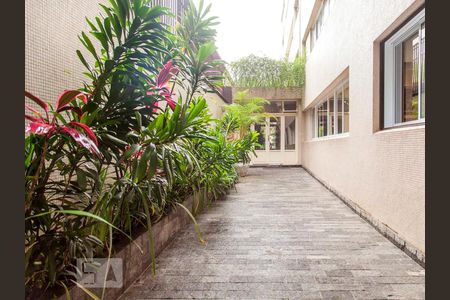 Apartamento para alugar com 110m², 3 quartos e 1 vaga Apartamento para alugar com 110m², 3 quartos e 1 vagaÁrea comum