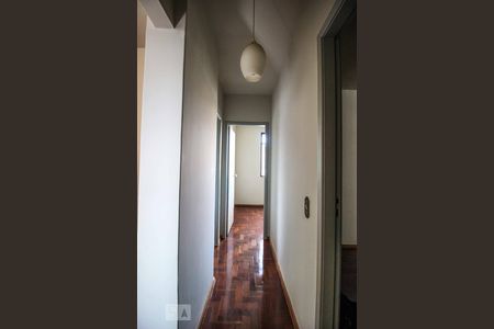 Corredor de apartamento para alugar com 3 quartos, 70m² em Centro, Belo Horizonte