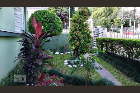 Jardim de apartamento para alugar com 1 quarto, 34m² em Floresta, Porto Alegre