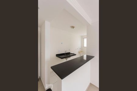 Cozinha de apartamento para alugar com 2 quartos, 47m² em Vila Campos Sales, Campinas