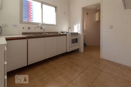 Cozinha de apartamento para alugar com 2 quartos, 75m² em Vila Indiana, São Paulo