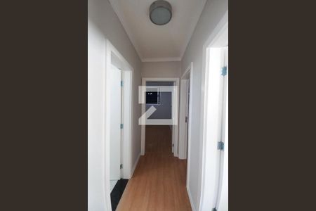 Corredor de apartamento para alugar com 2 quartos, 58m² em Cambuí, Campinas