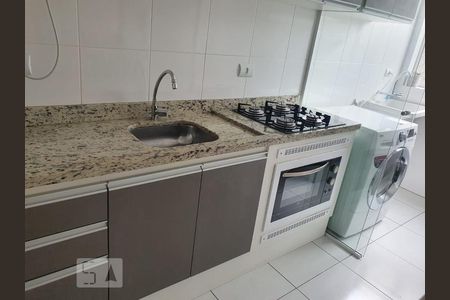 Cozinha de apartamento para alugar com 2 quartos, 57m² em Vargem Grande, São José dos Pinhais