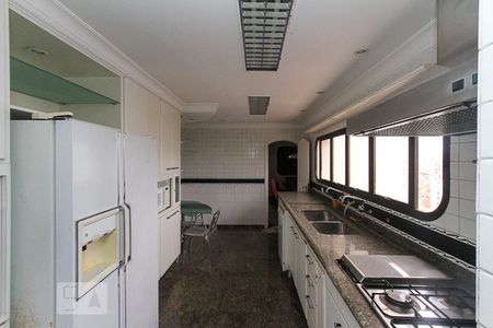 Cozinha de apartamento para alugar com 4 quartos, 475m² em Alto da Mooca, São Paulo