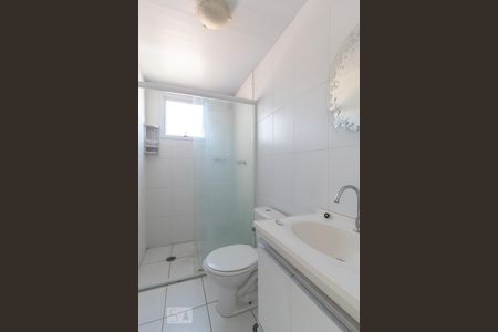 Banheiro de apartamento para alugar com 2 quartos, 64m² em Rio Pequeno, São Paulo